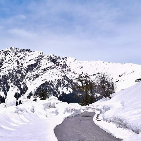 Best of Manali Tour.jpg